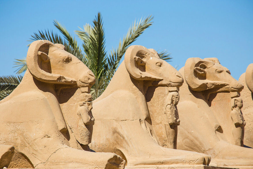 Egypt S Ancient Road Of Sphinxes Is Unveiled After Centuries Of