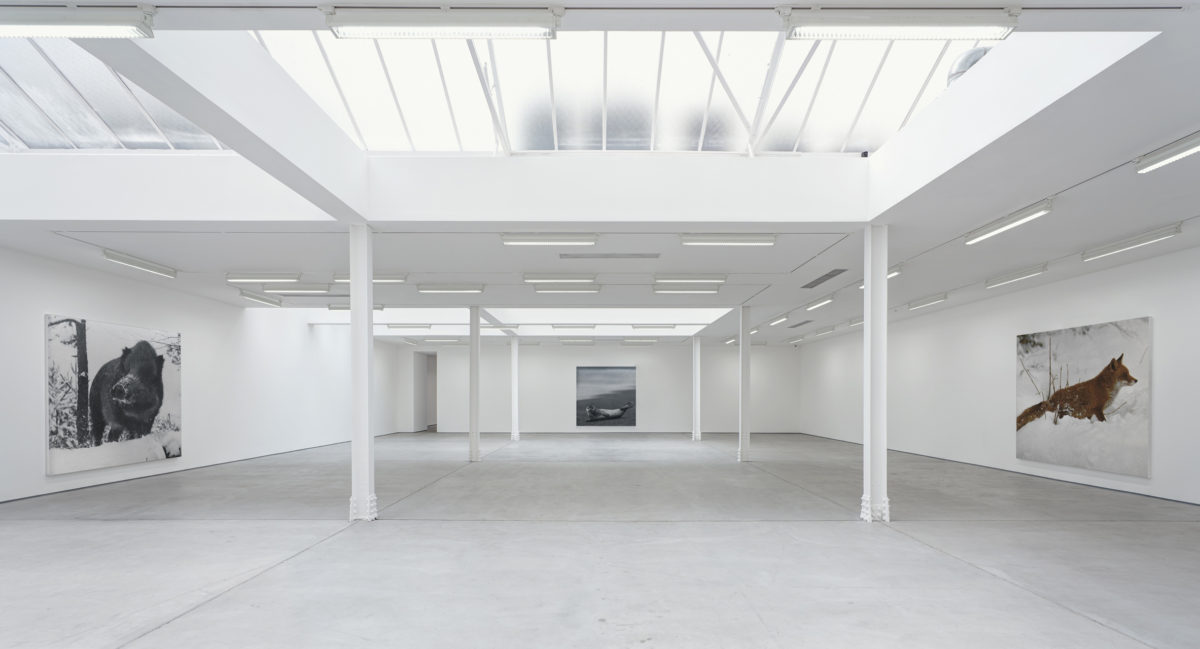 Rudolf Stingel, Sadie Coles, 2015 (via Sadie Coles)