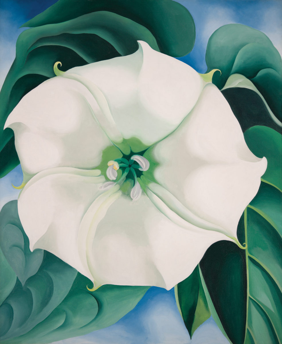 Georgia O'Keeffe, Jimson Weed, White Flower No. 1 (Via Tate Modern)
