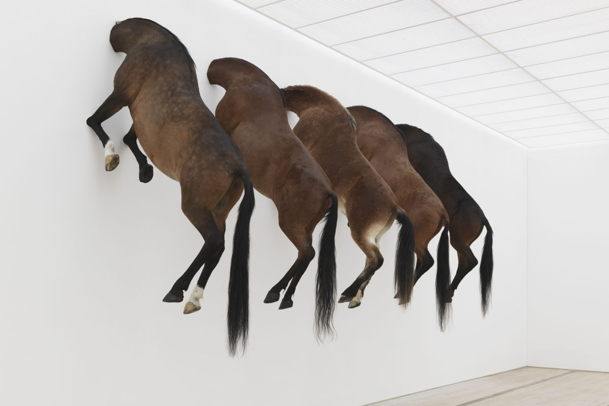 Maurizio Cattelan: Kaputt, Fondation Beyeler, Riehen/Basel, 8 June – 6 October 2013. Photo: Serge Hasenböhler, Basel 