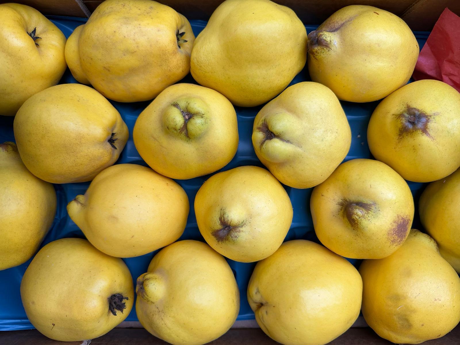 The best quince recipes: What to do with quince